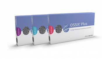 Мембрана OSSIX Plus /Оссикс Плюс, 30Х40 мм