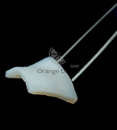 FibroMATRIX /ФиброМАТРИКС мембрана 3D-матрикс коллагеновый 8 мм