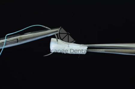 FibroMATRIX /ФиброМАТРИКС мембрана 3D-матрикс коллагеновый 8 мм